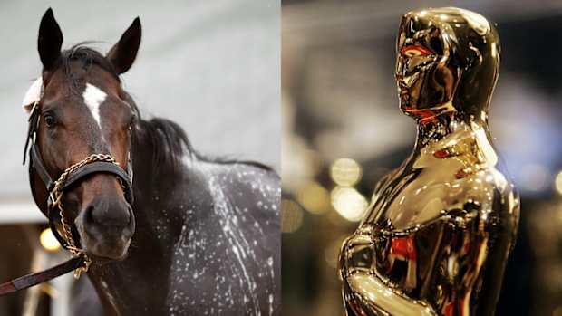 kentucky-derby-horse-oscar-foreign-film-quiz.jpg